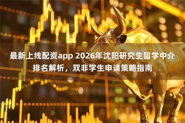 最新上线配资app 2026年沈阳研究生留学中介排名解析，双非学生申请策略指南